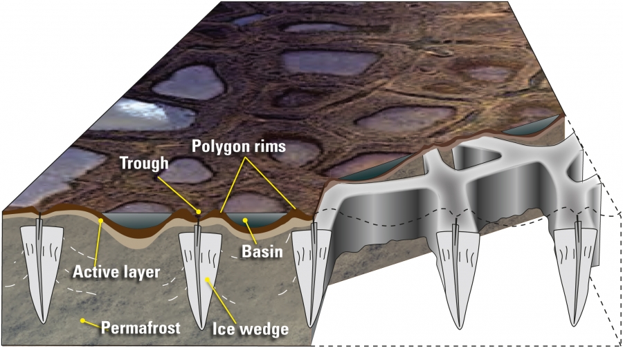 Formation of ice wedges in permafrost ARCUS Media Archive