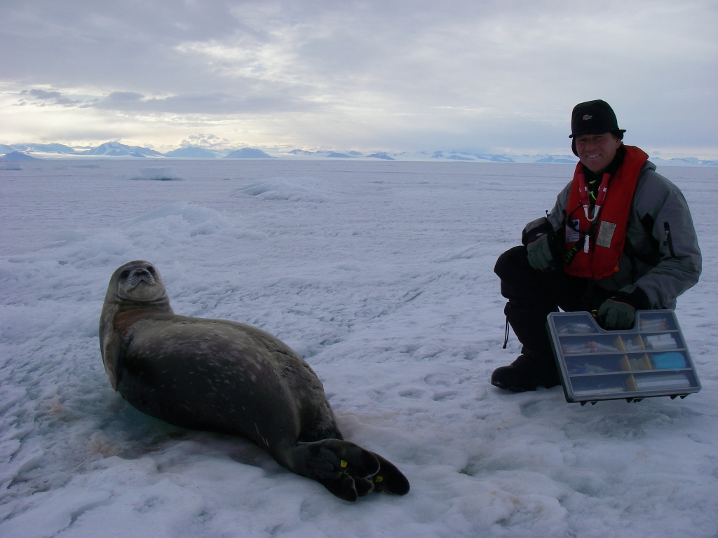 Weddell Seal Poses With Jonas Polar Media Archive   Peneston 2009 01 09 IMGP0919.JPG